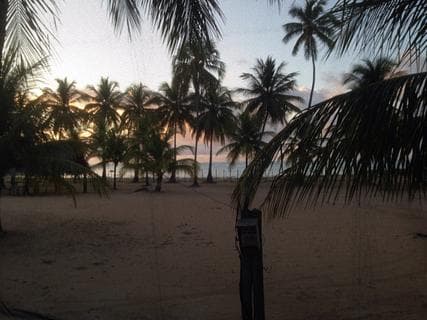 Camping CCB | Established Campground